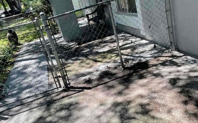 Photo of Monique J.'s yard after getting landscaping in Kathleen, FL