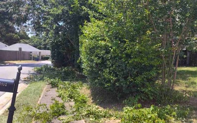 Photo of Angela L.'s yard after getting landscaping in Foley, AL