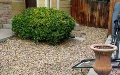 Photo of Jessica L.'s yard after getting landscaping in Henderson, CO