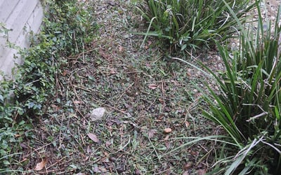 Photo of Keith H.'s yard after getting landscaping in Greensboro, FL