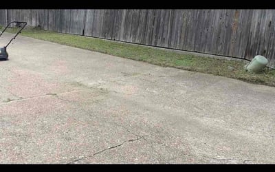 Photo of Anthony N.'s yard after getting landscaping in Arlington, TX