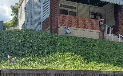 Photo of Justin G.'s yard after getting landscaping in Mcdonald, PA