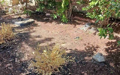 Photo of Larry C.'s yard after getting landscaping in Decatur, TX