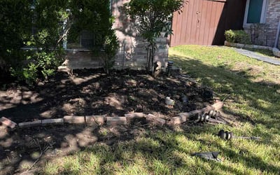 Photo of Susan Y.'s yard after getting landscaping in Blue Ridge, TX