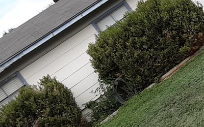 Photo of William B.'s yard after getting landscaping in Sutherland Springs, TX