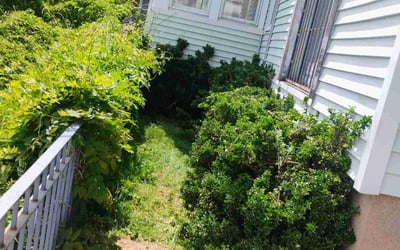 Photo of Nick D.'s yard after getting landscaping in Englishtown, NJ