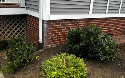 Photo of Harika C.'s yard after getting landscaping in Arlington, VA