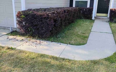 Photo of Eve H.'s yard after getting landscaping in Hilliard, FL