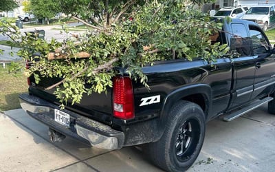 Photo of Karina P.'s yard after getting landscaping in Buda, TX