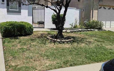 Photo of David D.'s yard after getting landscaping in Rocklin, CA