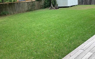 Photo of Novlet W.'s yard after getting lawn care in Kaplan, LA