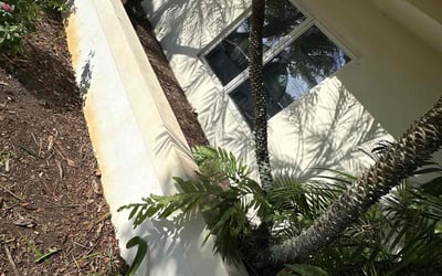 Photo of Jessica G.'s yard after getting tree care in Pompano Beach, FL