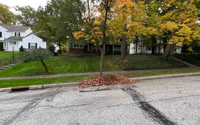 Photo of John S.'s yard after getting landscaping in Oberlin, OH