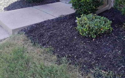 Photo of Samantha F.'s yard after getting landscaping in Red Oak, TX