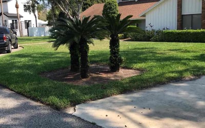 Photo of Steve S.'s yard after getting landscaping in Astor, FL