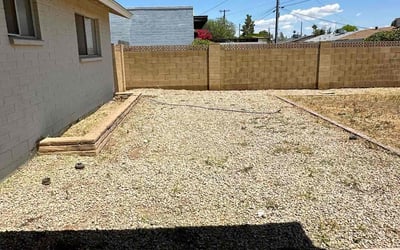 Photo of Peter B.'s yard after getting landscaping in Tempe, AZ