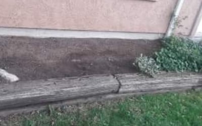Photo of Heather B.'s yard after getting landscaping in Woodland Park, CO
