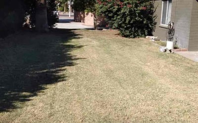 Photo of Mike J.'s yard after getting landscaping in Wittmann, AZ