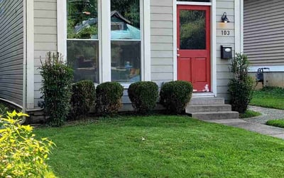 Photo of Angela L.'s yard after getting landscaping in Shelbyville, KY