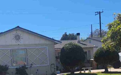 Photo of Carmen P.'s yard after getting tree care in Ventura, CA