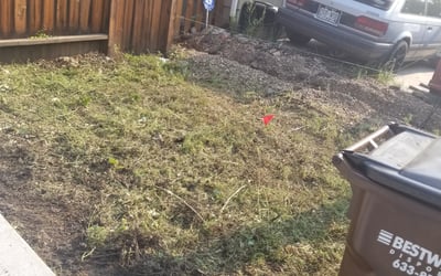Photo of Bruce L.'s yard after getting landscaping in Aspen, CO