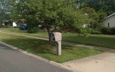 Photo of Margaret C.'s yard after getting landscaping in Chesterland, OH
