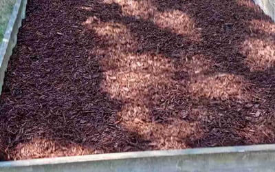 Photo of Rebecca R.'s yard after getting tree care in Camas, WA