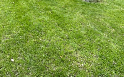 Photo of Karen B.'s yard after getting landscaping in Scandia, MN