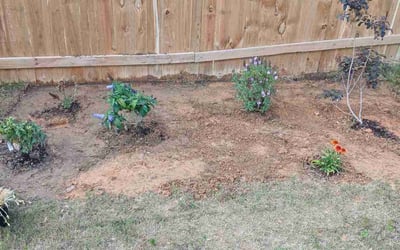 Photo of Sarah C.'s yard after getting landscaping in Fountain Inn, SC