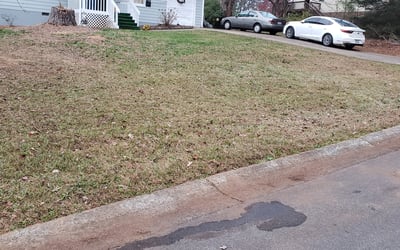 Photo of Hanyi M.'s yard after getting tree care in Adairsville, GA