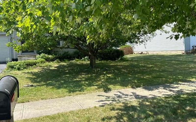 Photo of Ms. D.'s yard after getting landscaping in Fulton, OH