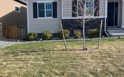 Photo of Traci D.'s yard after getting landscaping in Indian Hills, CO