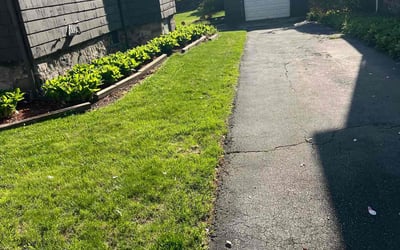 Photo of Nancy S.'s yard after getting landscaping in Saugus, MA