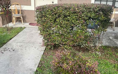 Photo of Kevin M.'s yard after getting landscaping in Bay Pines, FL
