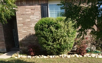 Photo of Angela H.'s yard after getting landscaping in Bridgeport, TX