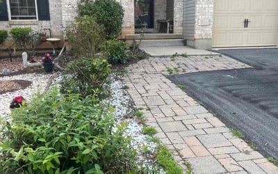 Photo of David C.'s yard after getting landscaping in Blairstown, NJ