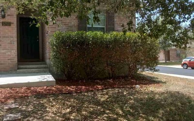 Photo of Donna R.'s yard after getting tree care in Schertz, TX