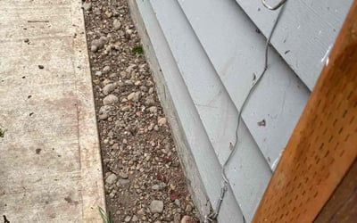 Photo of Tom R.'s yard after getting landscaping in Mercer Island, WA