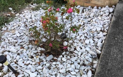 Photo of James S.'s yard after getting landscaping in Marble Hill, GA