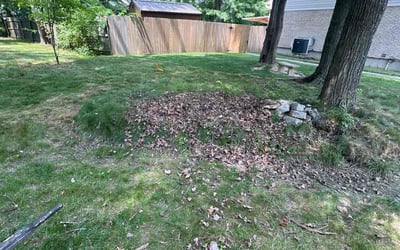 Photo of Michael O.'s yard after getting landscaping in Moscow, OH