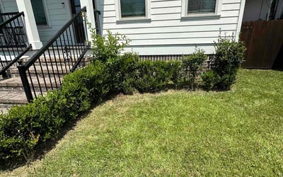 Photo of Natalie C.'s yard after getting landscaping in Saint Rose, LA