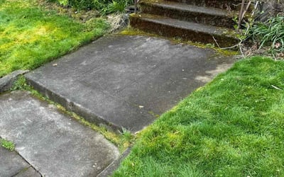 Photo of Lauren R.'s yard after getting landscaping in Mcminnville, OR