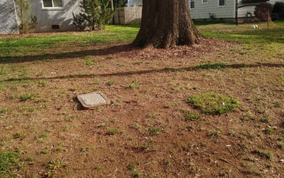 Photo of Jason S.'s yard after getting landscaping in Vale, NC