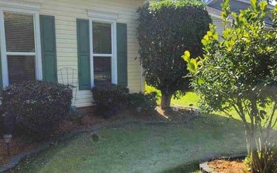 Photo of Steve R.'s yard after getting landscaping in Lexington, SC