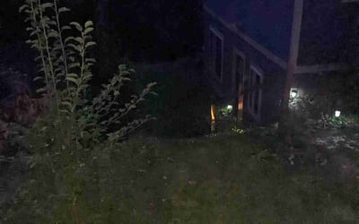 Photo of Matt B.'s yard after getting landscaping in Fairview, NC