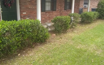 Photo of Joseph D.'s yard after getting landscaping in Greenwell Springs, LA