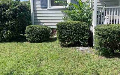Photo of Lynn S.'s yard after getting landscaping in Crozier, VA