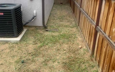 Photo of Jamillah O.'s yard after getting landscaping in Bakersfield, CA