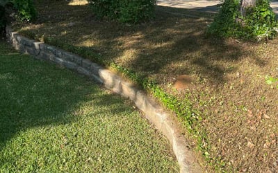 Photo of Jessenia G.'s yard after getting lawn care in Decatur, TX