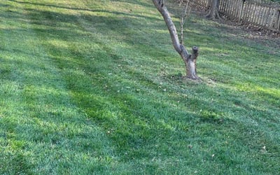 Photo of Joshua R.'s yard after getting landscaping in Lexington, MO